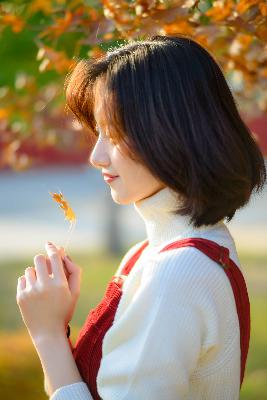 丁香花电影高清在线小说阅读